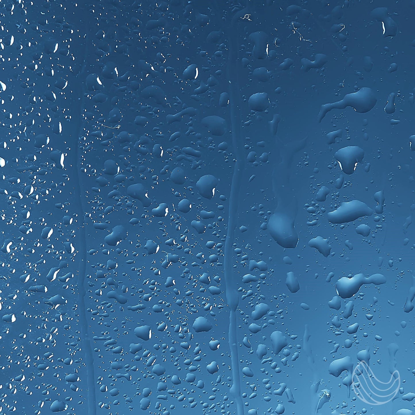 shower spray eucalyptus oil with a whiff of Grapefruit
