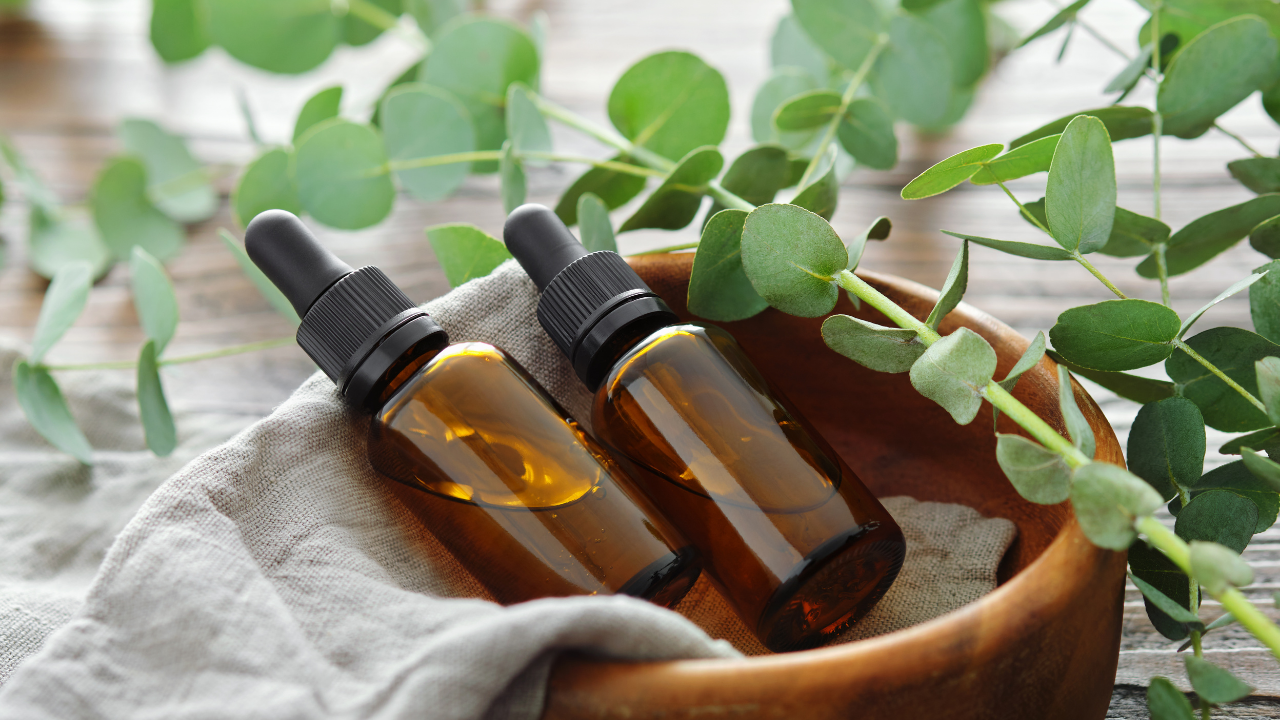 Eucalyptus