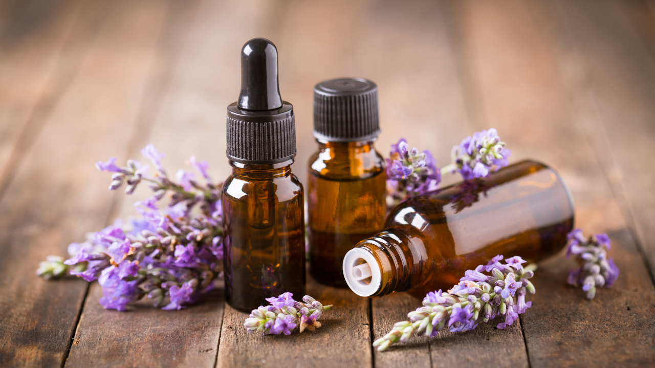 Lavender